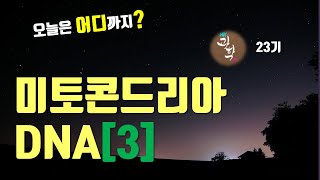 [오늘은 여기까지! 23기] 미토콘드리아 DNA[마지막편] ㅣ Mitochondrial DNA