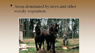 APES CH 10 JH AP ENVIRONMENTAL