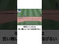 【西武新外国人】トレイ・ウィンゲンターに関する雑学【投球動画】 プロ野球