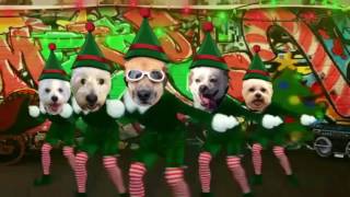 Elf Yourself Hip Hop Dogs