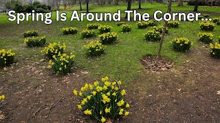 London Parks BURST With Early Spring Flowers in February!