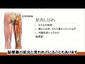 【腰痛の治し方】レントゲンで異常なしと診断されたときの対処法