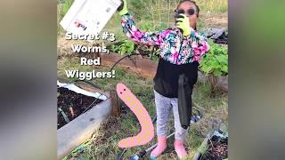 Quick Composting! Easy DIY S.T.E.M. Activities | Composting Experiment |  #StayHome Learn #WithMe