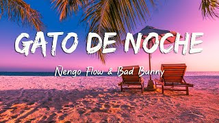 Ñengo Flow ft Bad Bunny – Gato de Noche (Letra/Lyrics)