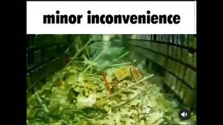 minor inconvenience