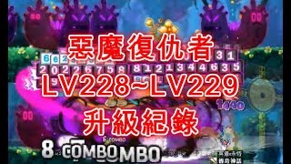 TMS【新楓之谷】Maplestory- 惡魔復仇者-228~229等升級紀錄  메이플스토리