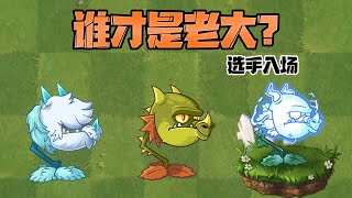 植物大戰僵屍：龍草之王，PVZ2中三個龍草誰能代表家族出戰？