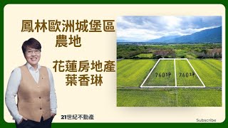 花蓮鳳林歐洲城堡區方正農地-花蓮房地產葉香琳