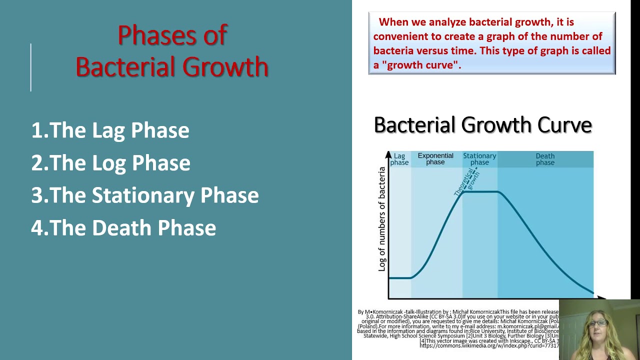 Microbial Nutrition And Growth - YouTube