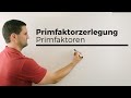 Primfaktorzerlegung, Primfaktoren | Mathe by Daniel Jung