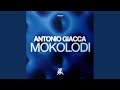 Mokolodi (Original Mix)