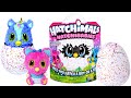 ASMR | UNBOXING HATCHIMALS | WILL YOU HATCH A BOY OR A GIRL?