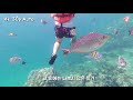 osmo action water test 오즈모 액션 수중 촬영 결과는 4k snorkeling in krabi