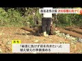 収穫直前のキャベツ400玉盗まれる（沖縄テレビ）2025 1 21