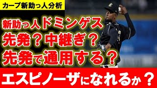 【カープ】ドミンゲスは日本で通用する？起用法はどうなる？エスピノーザと比較して徹底分析【広島東洋カープ】