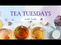 TEA TUESDAY - Pumpkin Spice Rooibos Herbal Blend