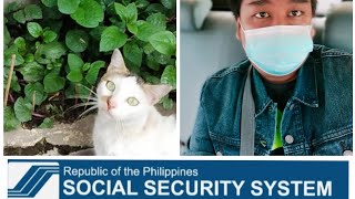 SSS MANDATORY PROVIDENT FUND | PLANTS at HOME UPDATE