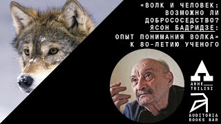 Алексей Верещагин. Волк и человек: возможно ли добрососедство? Ясон Бадридзе - опыт понимания волка