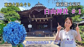 極彩色 Saiko’s Vlog －東京十社めぐり　白山神社 ＃１－hakusan jinja －