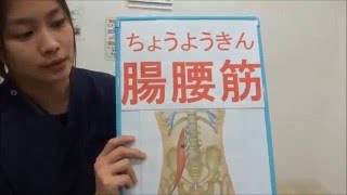 デスクワーク型　腰痛　予防ストレッチ　久我の杜　平川接骨院/針灸治療院