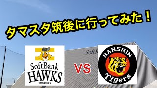 タマスタ筑後に行ってみた！ソフトバンクホークスVS阪神タイガース 2019.03.24@タマスタ筑後