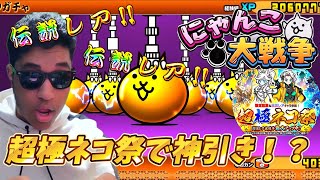 【にゃんこ大戦争】新年に超極ネコ祭を引いたら信じられない結果に！？【MamasgunGames】