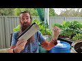 Bell Siphon Troubleshooting & Explanation  Aquaponics 101