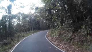 Elephant on the road in Kerala