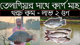 তেলাপিয়ার সাথে বাংলা মাছ চাষের অভাবনীয় সাফল্য || Shakib AGRO