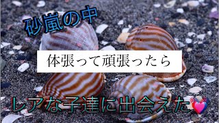 ビーチコーミングに行ったら、砂嵐にあいまして…全身に車の中がすごいことになりましたｗ体張った結果いいもの拾えちゃいました♡