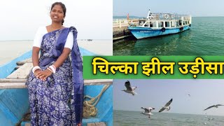 @गांवकीगोरी Vlog 550#चिल्का झील l एशिया का सबसे ज्यादा खारे पानी वाला झील l जो 65 से 70 km फैला है