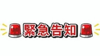 緊急告知やはた愛国会質問2月4日16時29分頃【愛ちゃん石破茂の誕生日に質問】＃れいわ新選組＃やはた愛