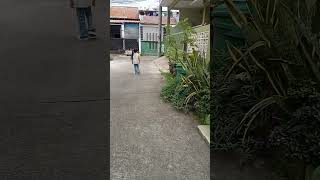 Jalan-jalan di Tante Ameng #shorts #fypシ゚ #aqila #funny #fun #silaturahmi