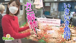 カニ解禁！新鮮なカニが揃う『金沢港いきいき魚市』（おでかけ中継）