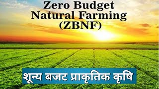 Zero Budget Natural Farming शून्य बजट प्राकृतिक खेती