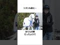 ソダシの面白い雑学 競馬