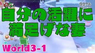 【ゲーム実況】なかよし夫婦がやる3Dワールド その6 【World3-1】