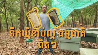 ទឹកឃ្មុំចាស់ខែ បិតក្បាលទឹកល្អៗ មានលក់ដុំក្នុងតម្លៃទន់ៗ អាចខលសួរតម្លៃមើលសិនក៏បាន