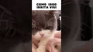 Como isso irrita viu!