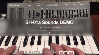 Roland SH-01a Sound demo