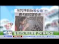 收容所動物零安樂 僅5成民眾贊成