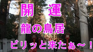 【開運！龍の鳥居！ 馬橋稲荷神社】2024.01 ( GOD LUCK INVITATION ！DORAGON  TORII！）