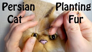 Persian Cat  doll - Planting Fur | Needle felting Tutorial