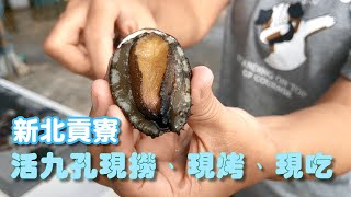 【開伙-地方特產】貢寮九孔鮮物本鋪 | Taiwan abalone