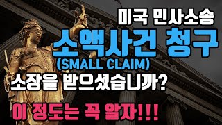 미국 민사소송, 소액사건(Small Claim) 절차 설명: Complaint, Sheriff Service, Answer, Counterclaim, Discovery 절차