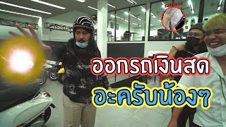 (คนพันธุ์เสือ EP.42) ก็แค่ไปออกรถเงินสดอะครับน้องๆ | SHOCKER BOYS