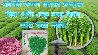 ধনিয়া পাতা  চাষের মাধ্যমে  দেড় লক্ষ টাকায় করা সম্ভব   How to Grow coriander  leaves artist in pots