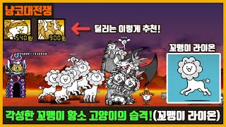 【냥코대전쟁】각성한 꼬맹이 황소 고양이의 습격! (매달 14일) / 꼬맹이 황소 3진 고고고!(꼬맹이 라이온, 꼬라이온, 꼬맹이 황소)