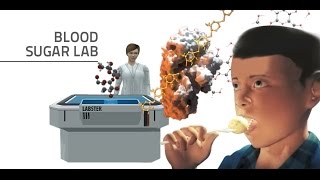 Labster Virtual Lab: Blood Sugar Simulation