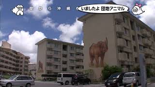 2010年8月19日 空から日本を見てみよう 沖縄 動物が描かれている団地は何？